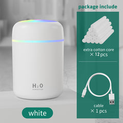 H2O Humidifier