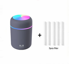 H2O Humidifier