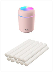 H2O Humidifier