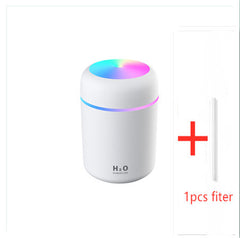 H2O Humidifier