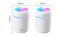 H2O Humidifier