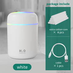 H2O Humidifier