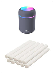 H2O Humidifier