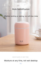 H2O Humidifier