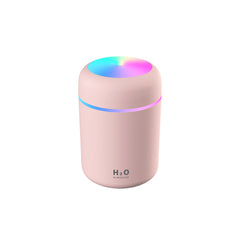 H2O Humidifier