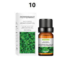 Multi-Purpose Essential Oil For Aroma Diffuser/Humidifier