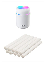 H2O Humidifier