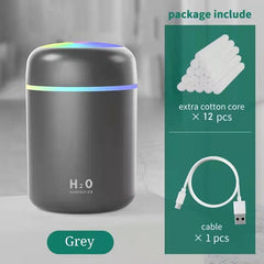 H2O Humidifier