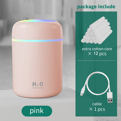 H2O Humidifier