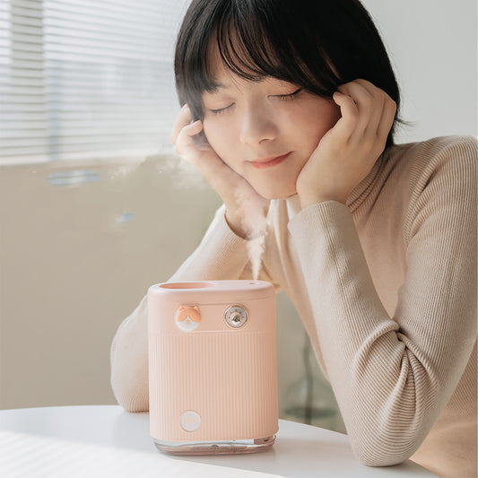 Elegant Air Humidifier