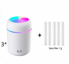 H2O Humidifier