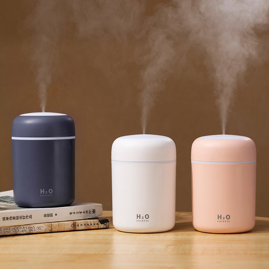 H2O Humidifier