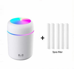 H2O Humidifier