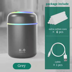 H2O Humidifier