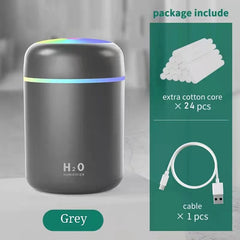 H2O Humidifier