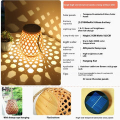 Elegant Solar Lamp